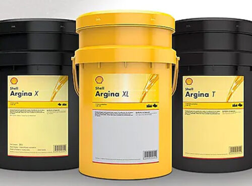 Shell Argina XL 40